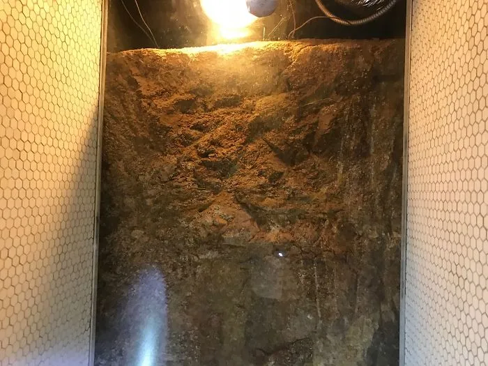 175 Worst Things Seen During Structural Inspections
