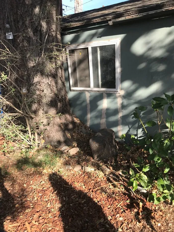 175 Worst Things Seen During Structural Inspections
