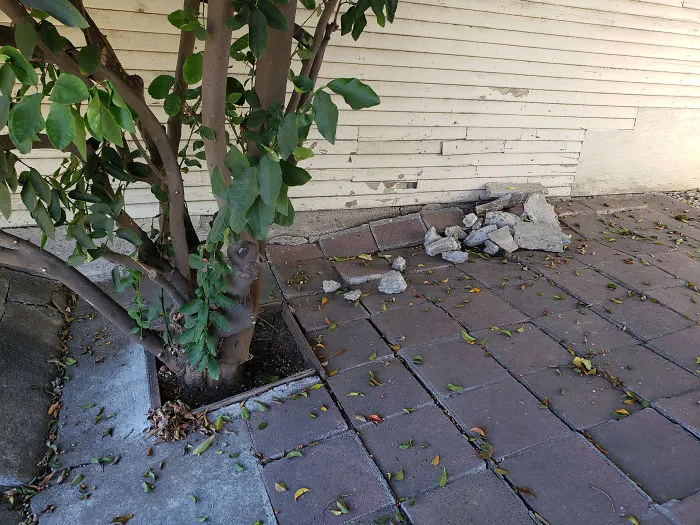 175 Worst Things Seen During Structural Inspections