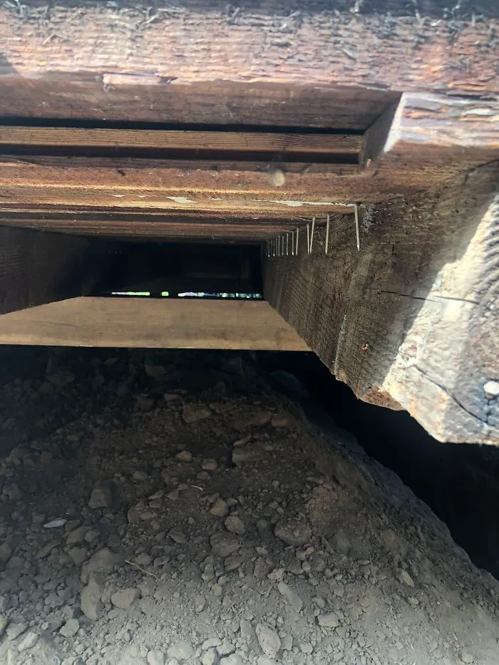 175 Worst Things Seen During Structural Inspections