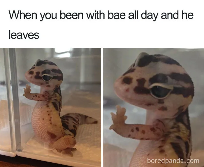 Time To Leave