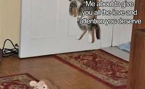 50 Wholesome Relationship Memes You Need To Send To Your Significant Other