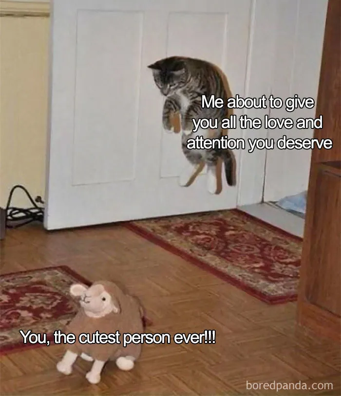 Love And Attention