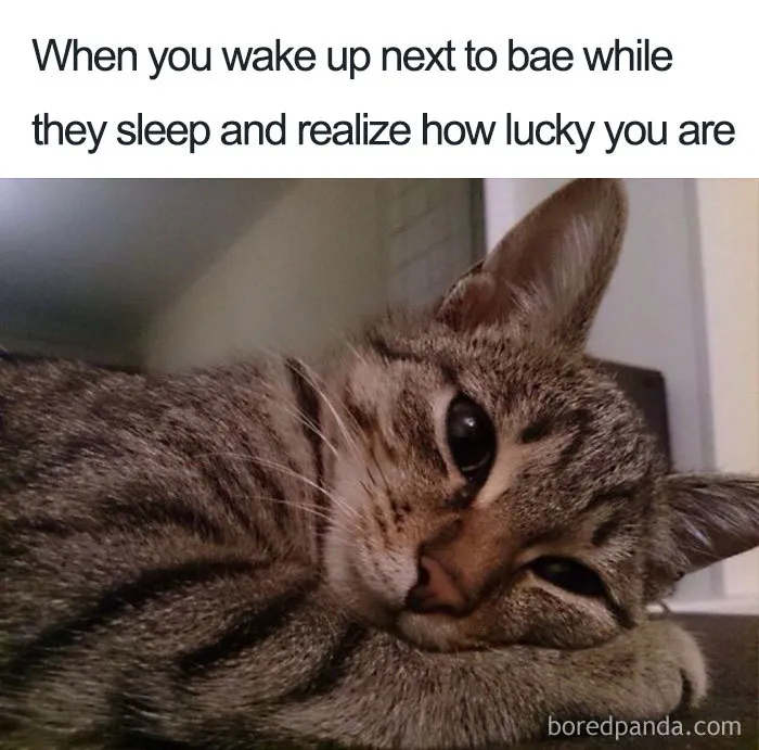 Feeling Lucky