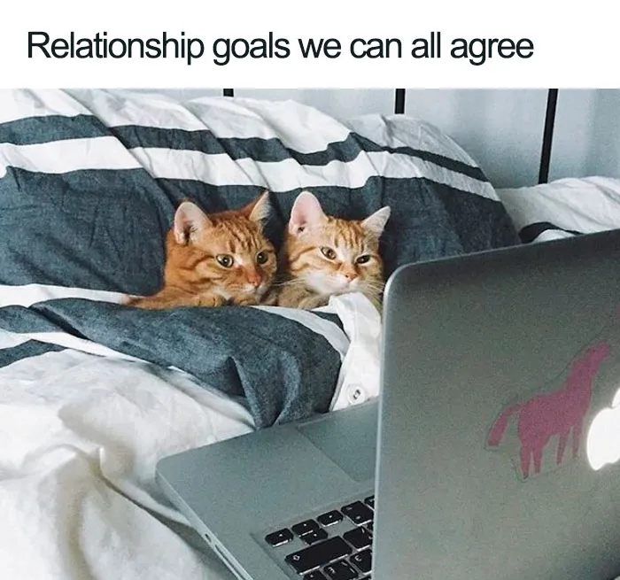 Relationship Goals