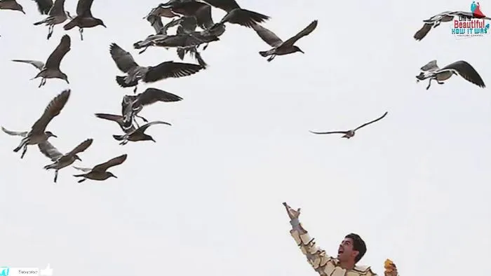 20 Suspect Photos That Will Make You Wonder What’s Wrong With Some People