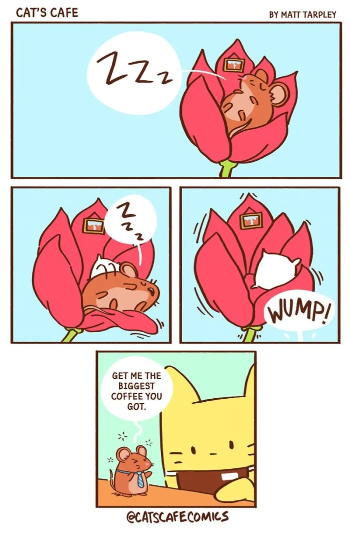 My 47 Wholesome 'Cat's Café' Comics That Will Make Your Day