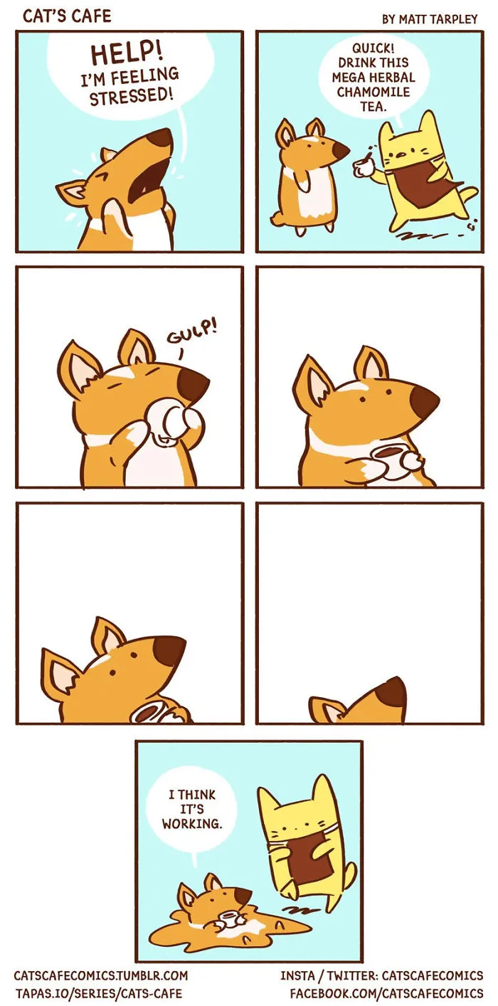 My 47 Wholesome 'Cat's Café' Comics That Will Make Your Day
