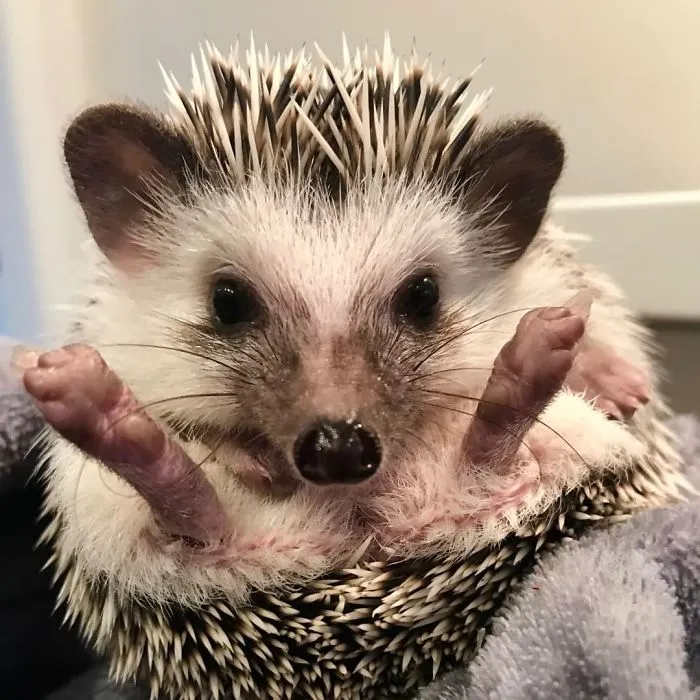 Hello, World