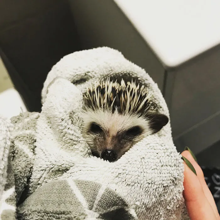After Bath