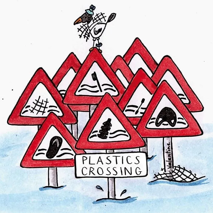 Plastic Pollution