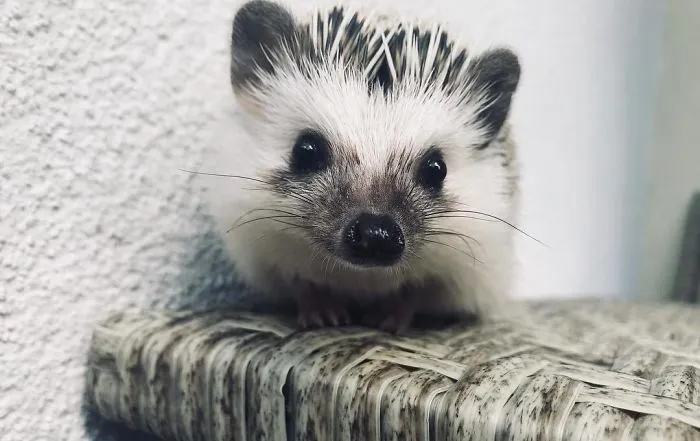 Some Things Are Too Cute Not To Share