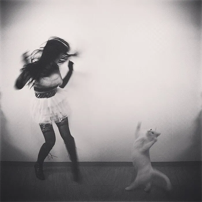30 Of The Funniest Dancing Cat Pics