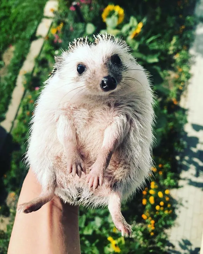 A Little Bit Of Sunshine To Brighten Up Your Days