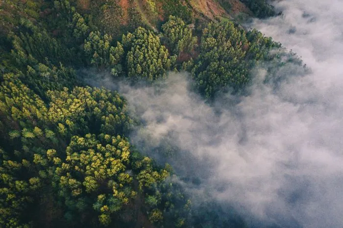 Changing Of Seasons In Sweden With A Bird’s-Eye View