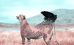 Here's How I Imagine Animals Behave When You Aren't Looking (20 Pics)