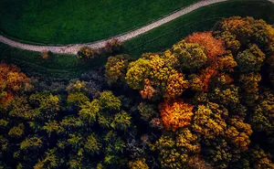 I Captured Autumn In Amsterdam