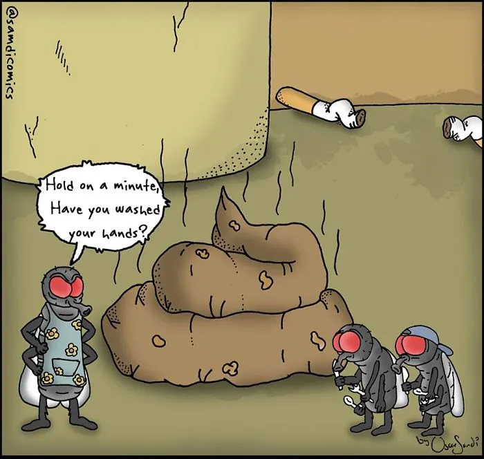 Good Habits