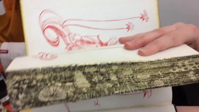 We Make Art In The Edges Of Books For People To Find On The Library Shelves Of The World.