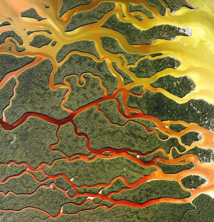 Everglades National Park, Florida