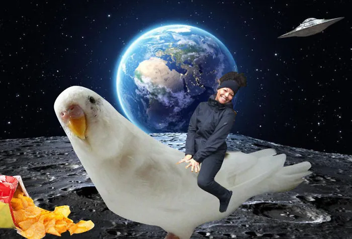 Parakeet On The Moon!