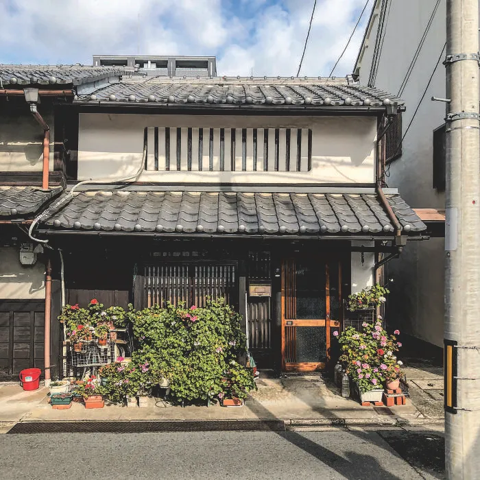 Traditional House With Geraniums