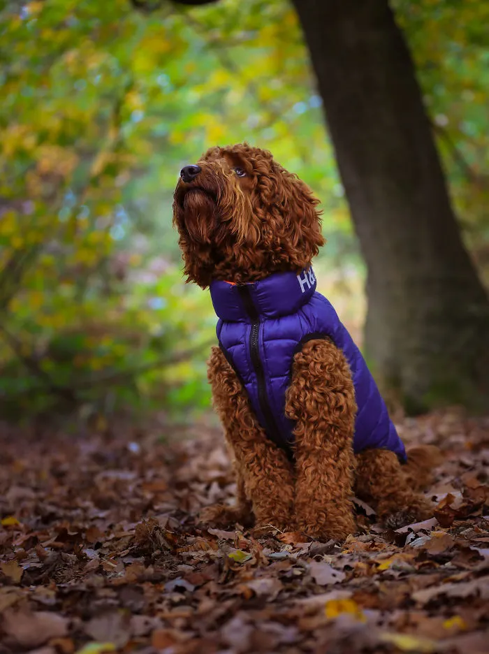 Stanley's First Fashion Shoot!