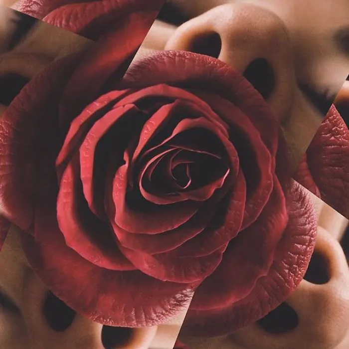 Lipetals