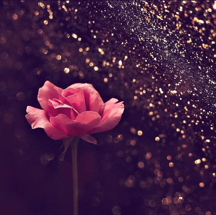 I Do Macro-Photography To Document The Beauty Of Small Things