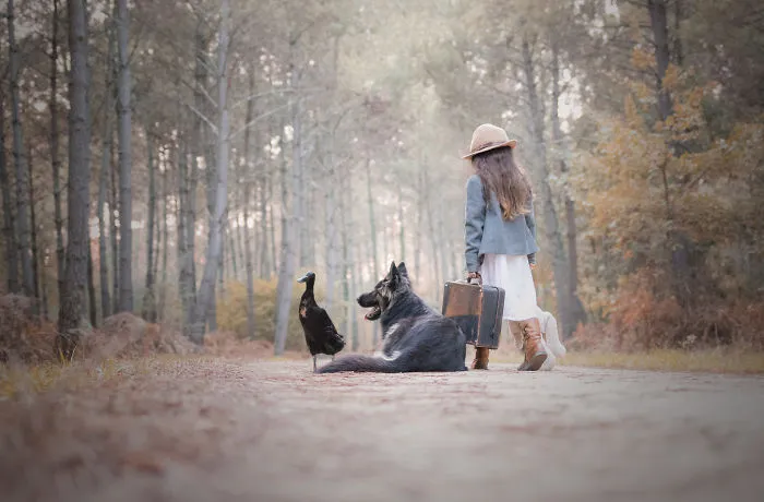 I Capture The Unexpected Friendship Between My Dog And My Duck On Film (25 Pics)