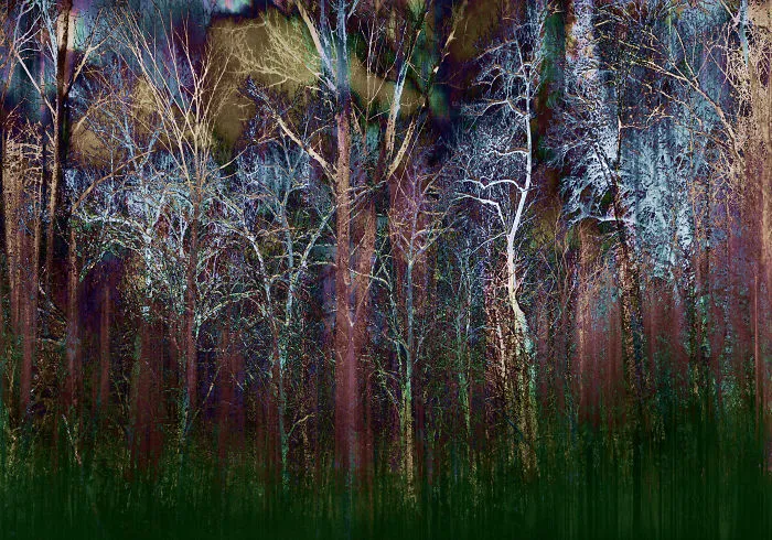I Turned My Photography Into Walking Art