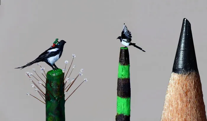 Miniature Magpies & A Little Boy