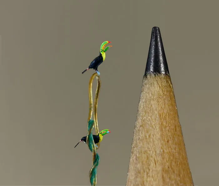 Mini Toucans