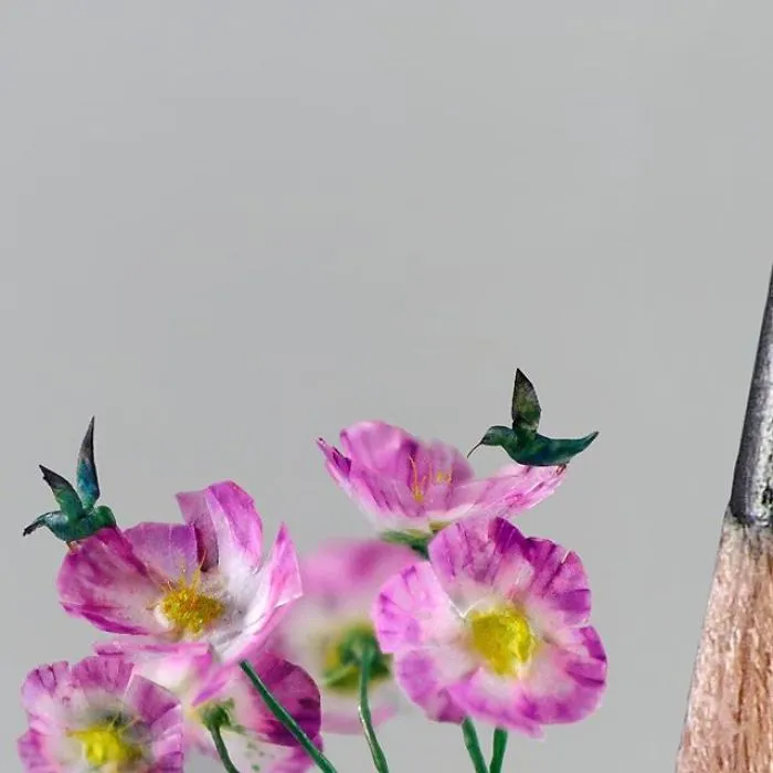 Colibri