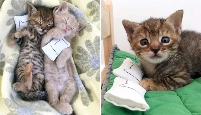 I Created Miniature Kitten Size Versions Of My Cat Nap Pillowcases, With Their Own Tiny Inserts.