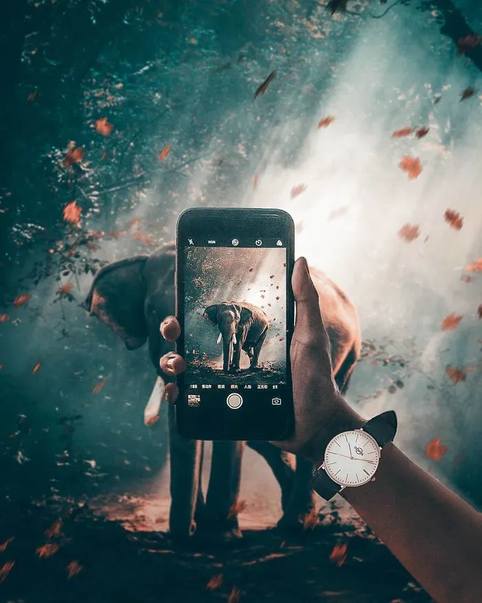 I Taught Myself How To Use Photoshop So That I Could Create These Surreal Images