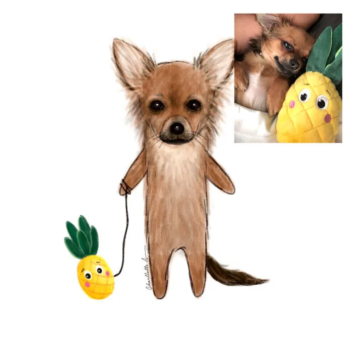 Chewie The Little Chihuahua