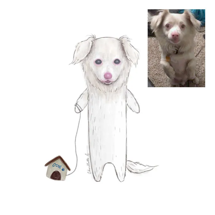 Odie