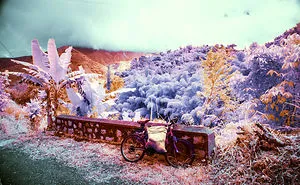 I Rode A Bike Down The Blue Mountain In Jamaica And Took These Infrared Photos