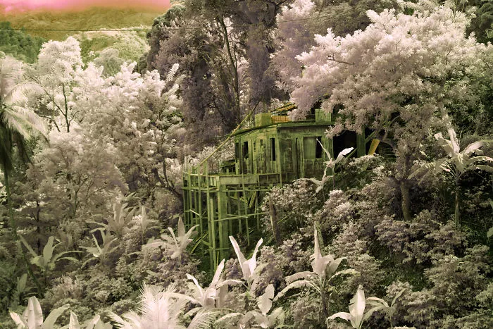 Summer House