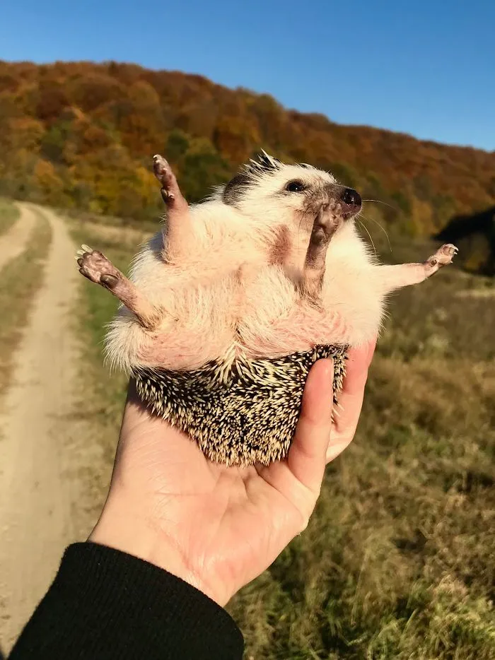 I Believe I Can Fly
