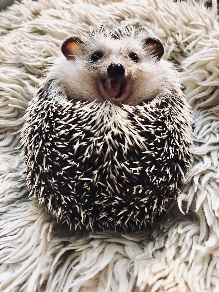 What Song Do You Think Rick Is Singing?