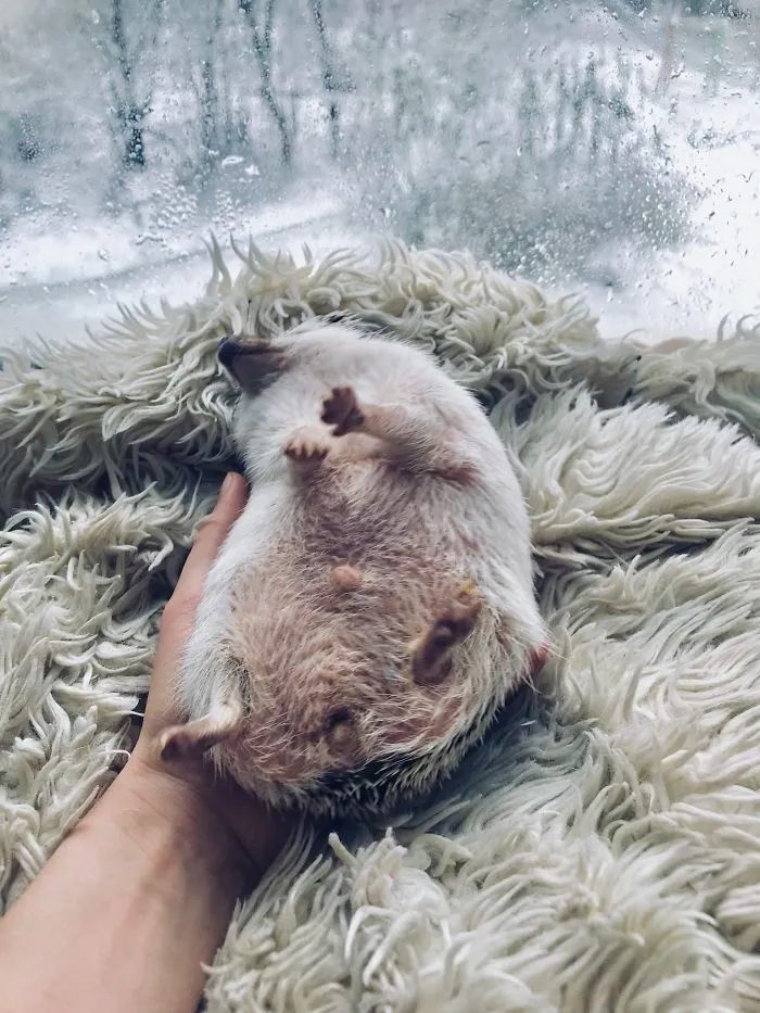 Just 5 More Minutes, Please...