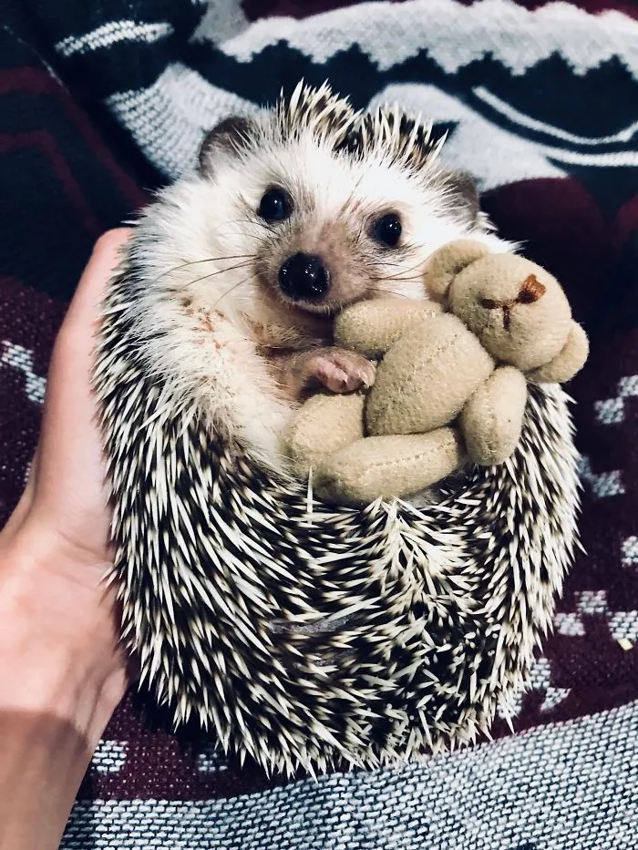 It’s Cuddle Season
