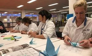 This Amsterdam Hospital Staff Folded 1.000 Paper Cranes To Help Patients Sleep