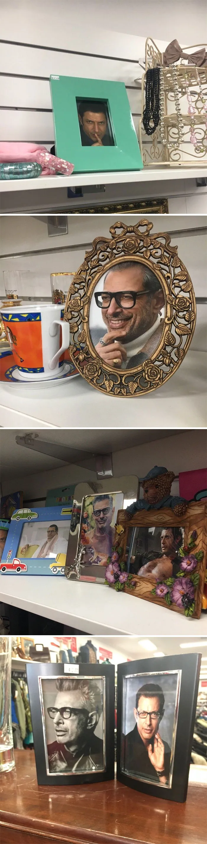 En esta tienda de 2ª mano han puesto a Jeff Goldblum en todos los marcos de fotos