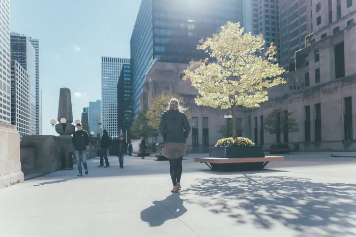 My Week In Chicago