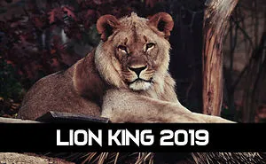 Lion King 2019 | Trailer And Teaser