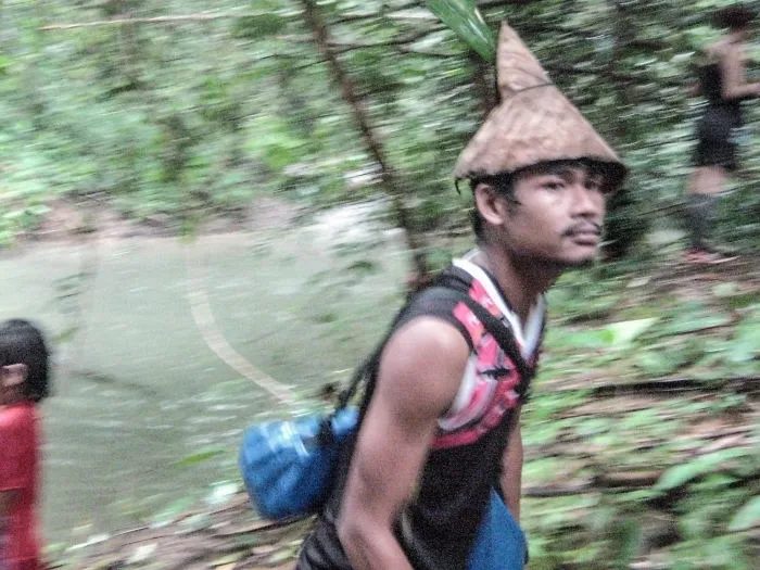 Our Guide