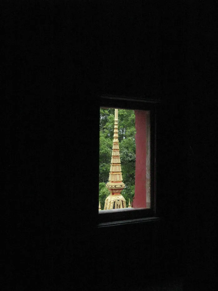 Framed Through A Window